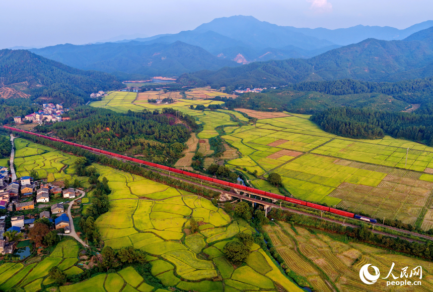 金色稻田、錯落村舍、連綿群山相映成趣，構成一幅秋收時節獨特的“豐”景畫卷。人民網 朱海鵬攝