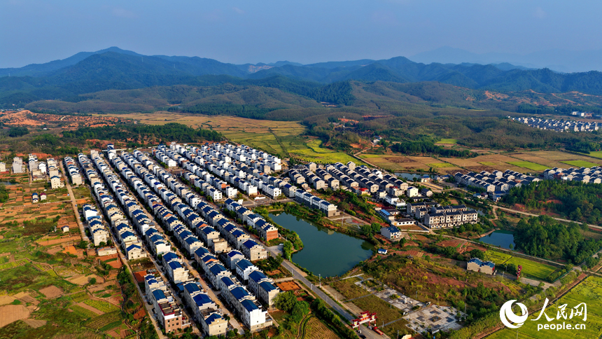 吉安市吉水縣水田鄉郭家村，村居民房與田園秋韻相映映襯，景美如畫。人民網 朱海鵬攝