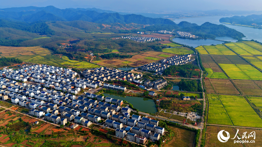 吉安市吉水縣水田鄉郭家村，村居民房與田園秋韻相映映襯，景美如畫。人民網 朱海鵬攝