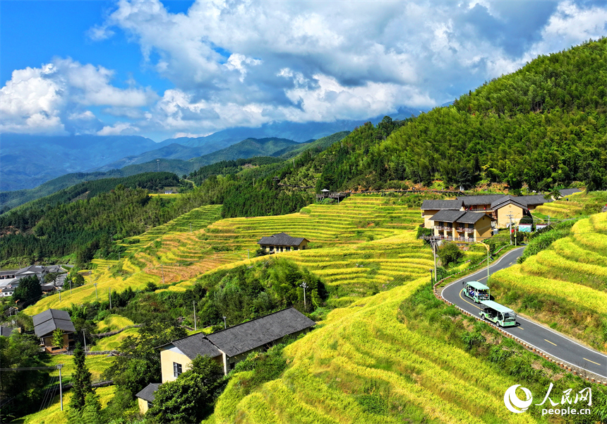贛州市崇義縣上堡鄉，通村柏油公路串聯起層層疊疊的梯田，吸引了不少游客驅車前來游玩。人民網 朱海鵬攝