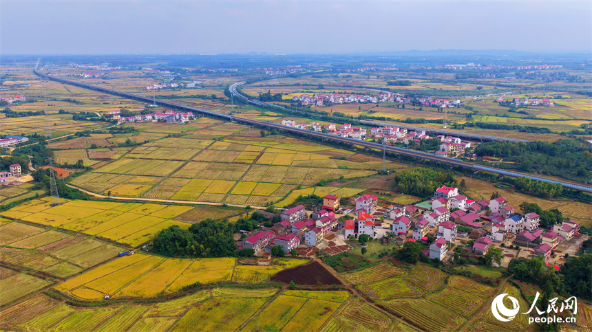 樟樹市觀上鎮一帶,公路、鐵路縱橫交錯,廣袤田園與青山綠樹交相輝映,冬日風景宜人。人民網 朱海鵬攝