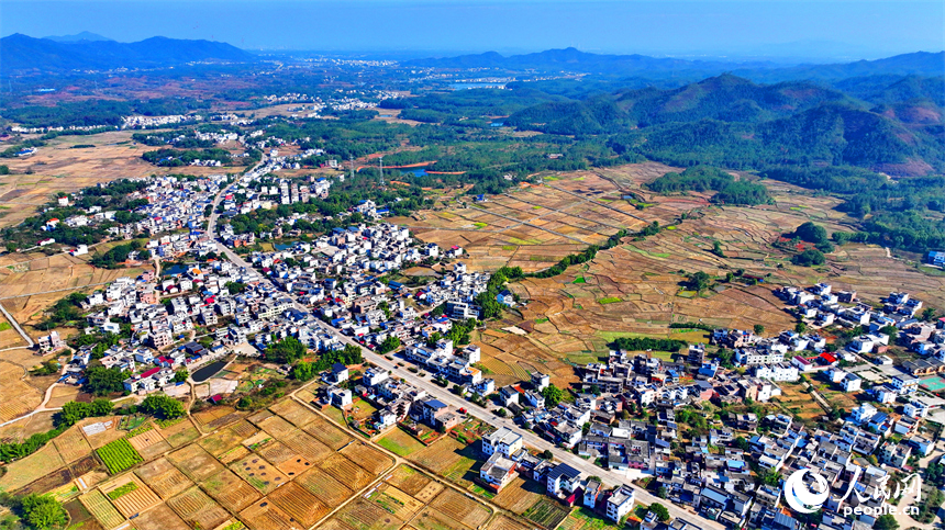 贛州市信豐縣正平鎮聯合村，車輛往來穿行，通村公路連通村莊、田園和蔬菜種植基地，勾勒出多彩斑斕的冬日鄉村圖景。人民網記者 朱海鵬攝