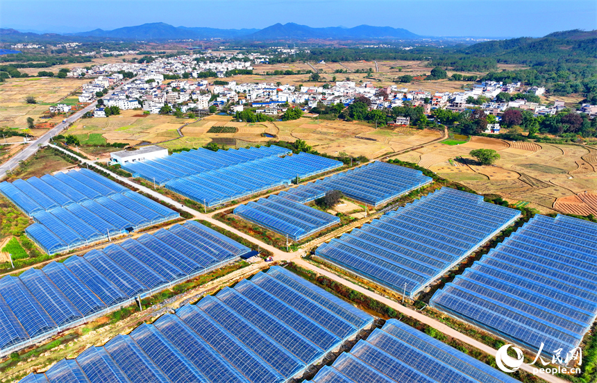 贛州市信豐縣正平鎮聯合村，車輛往來穿行，通村公路連通村莊、田園和蔬菜種植基地，勾勒出多彩斑斕的冬日鄉村圖景。人民網記者 朱海鵬攝