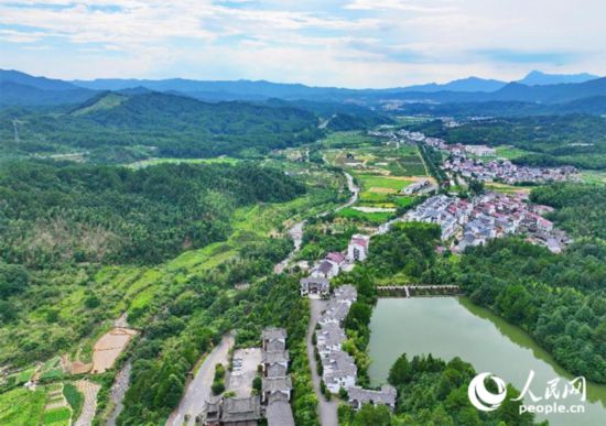 資溪縣森林資源豐富，森林覆蓋率達87.7%，有林地資源168萬畝。人民網 朱海鵬攝