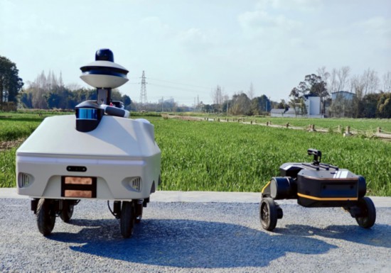 四川省成都市新都區天星村智能巡檢機器人“小胖”（左）和“小瘦”（右）。王玉萍攝