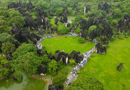 雨后的石林美如畫。